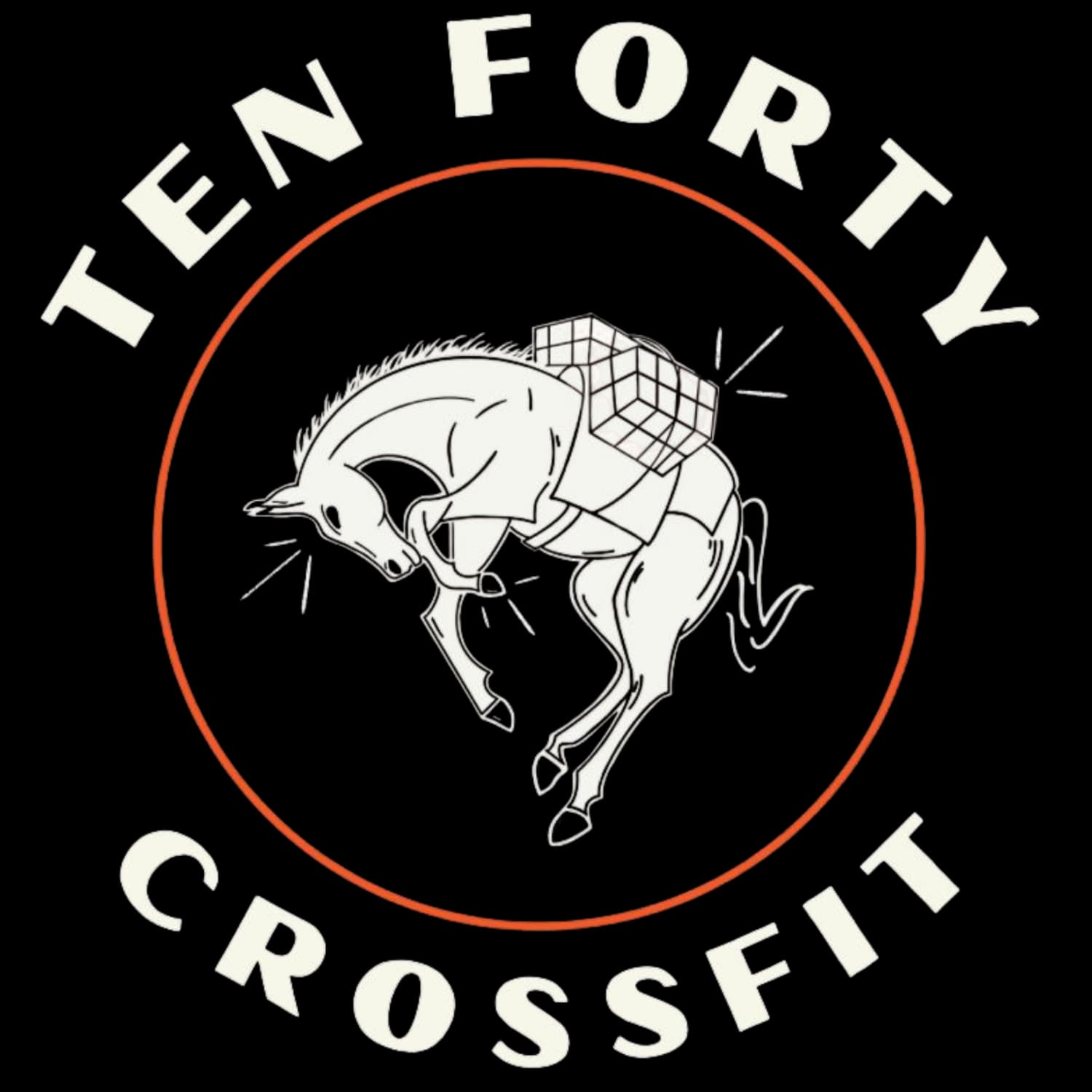 1040 CrossFit — Functional & CrossFit in Potchefstroom